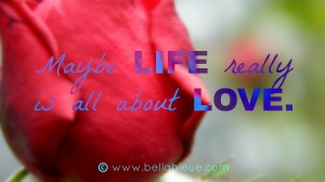 Love Life Quote