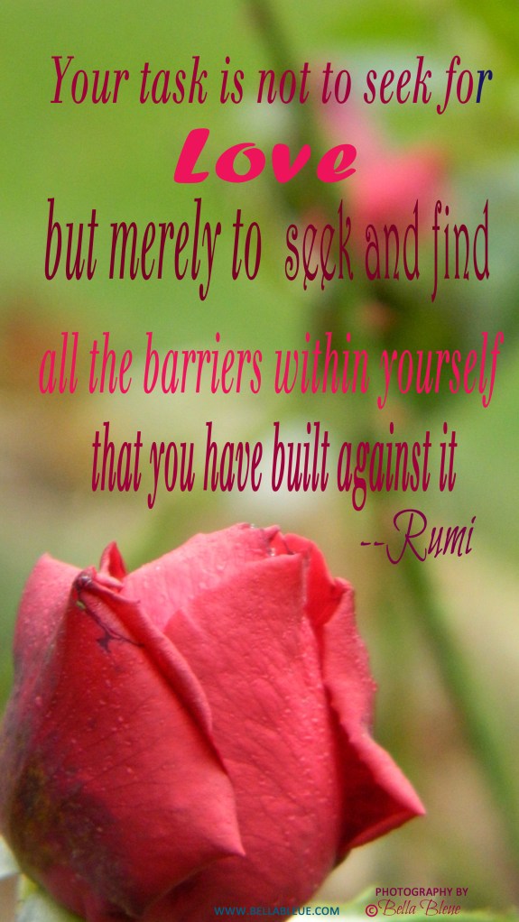 Rumi Love Quote